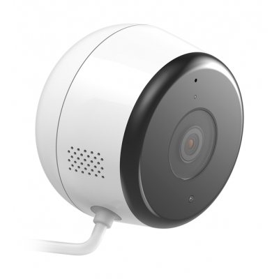 D-Link DCS-8600LH, Видеонаблюдение