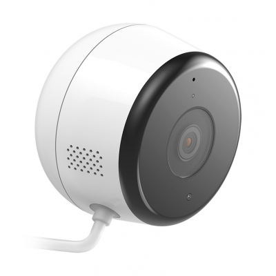 D-Link DCS-8600LH, Видеонаблюдение